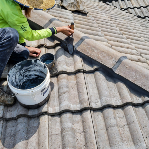 freepik__enhance__25366